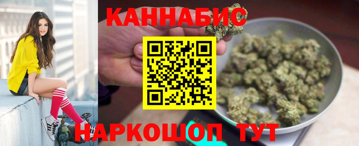 Марихуана сатива Надым